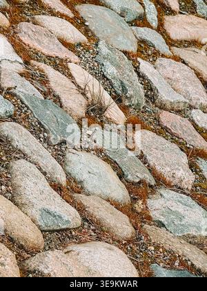Close-up of irregular cobblestone surface with moss, gravel, and dry grass between stones. Ideal for backgrounds, textures, landscaping concepts, rust Stock Photo