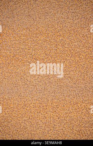 rusty metal plate background, worn steel plate with rusty pattern, grunge background of worn metal perfect for text or as raw background Stock Photo