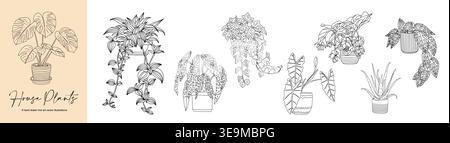 Soft line art depicts diverse house plants Stock Vector