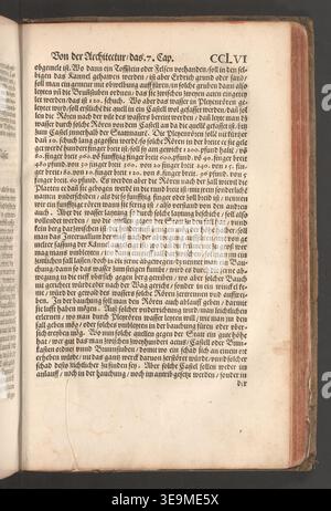 Marcus Vitruvius Pollio was a Roman engineer and architectural theorist active during the reign of Augustus. The archival image documents a photographic reproduction of the 1548 German Renaissance edition of De architectura printed in Nuremberg. Stock Photo