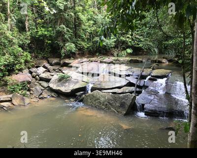 A small cascading waterfall flows gently over flat, moss-covered rocks in a tranquil rainforest stream, surrounded by lush tropical vegetation Stock Photo