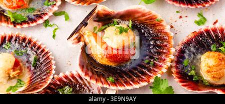 Cooked scallops with parsley on a baking sheet Stock Photo