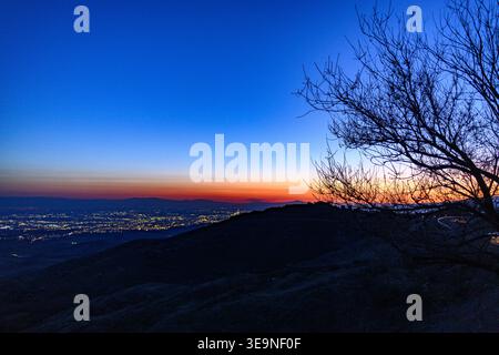 Night sky over cityscape with glowing lights. Silhouetted tree branches frame the horizon. Deep blue to orange gradient sky. Hills roll into distance. Stock Photo