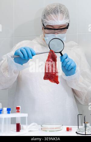 Woman scientist examining raw lab-grown meat sample with magnifying glass. Artificial protein cultivation in biotechnology research lab. Sustainable food innovation and future agriculture concept. Stock Photo
