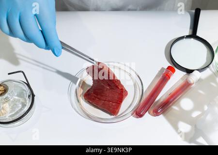 Scientist using tweezers to examine lab-grown meat in petri dish. In vitro cultivation of artificial steak in biotechnology lab. Future sustainable food production and hunger relief concept. Stock Photo