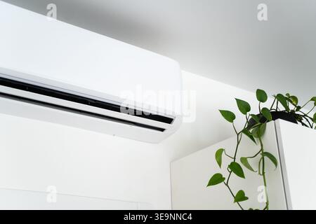 Wall-mounted air conditioner cooling home interior space, fresh air flowing next to green houseplant Stock Photo