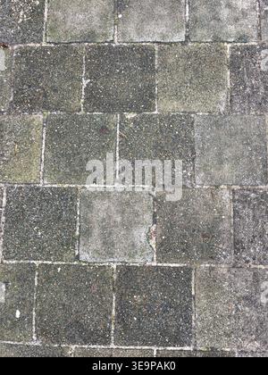 A gray and white brick wall with a few brown spots. The wall is made of bricks and has a rough texture Stock Photo
