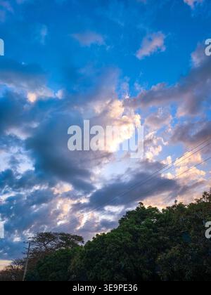 Wide angle view of a vibrant blue sky filled with scattered white and grey clouds illuminated by the morning sun over green treetops Stock Photo