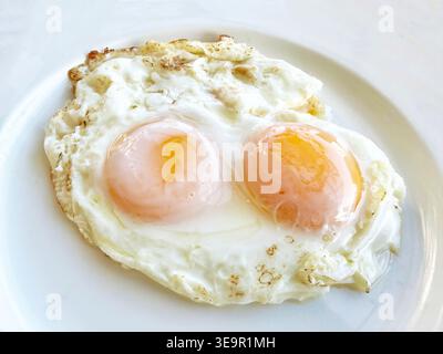 Two fresh fried eggs sunny side up Stock Photo