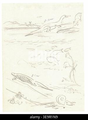 Triassic coastal fauna. Pencil sketches of prehistoric creatures and marine life in a sketchbook. A collection of rough pencil drawings depicting various animals, including a long-necked dinosaur, a sea turtle, fish, and a snail, suggesting an artistic study of nature and ancient life. Stock Photo