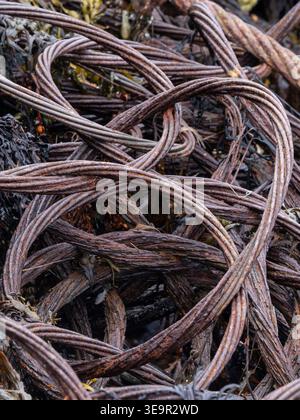 Old, abandoned and rusted equipment on Orkney mainland including WW2 submarine netting Stock Photo