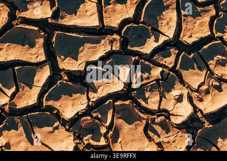 Close-up of cracked, parched earth with deep fissures and small grass shoots illuminated by warm sunset light, conveying drought, resilience, texture, Stock Photo