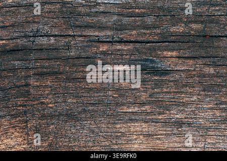 Texture of aged dark brown wooden plank surface showing deep natural grain patterns and fine radial cracks, top view. Stock Photo