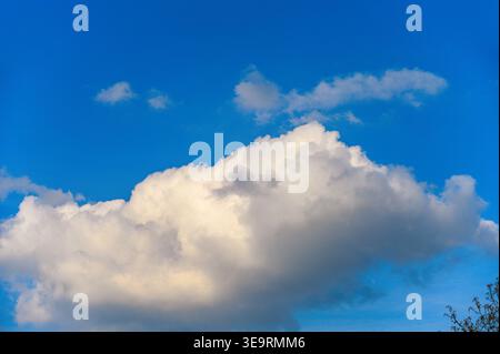 Dramatic cumulus clouds illuminated by sunlight against a vibrant blue sky Stock Photo