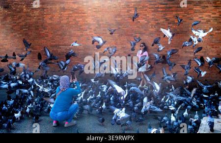 Young woman posing for photographs among a flock of pigeons outside the city walls in Chiang Mai Thailand Stock Photo
