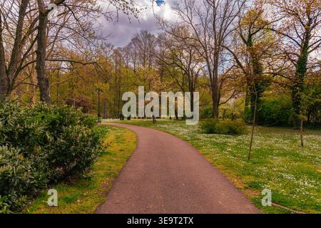 Curving Path Through Springtime Park Landscape Stock Photo