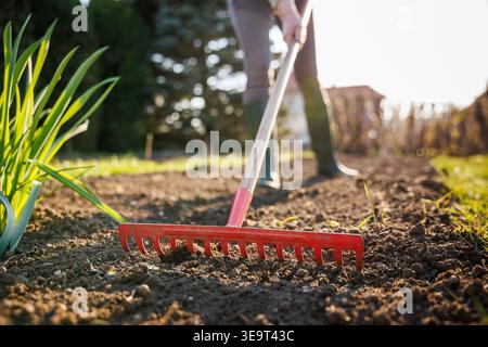 Rake on garden bed. Leveling soil before sowing seeds. Gardening tools and ground preparation for vegetable planting Stock Photo