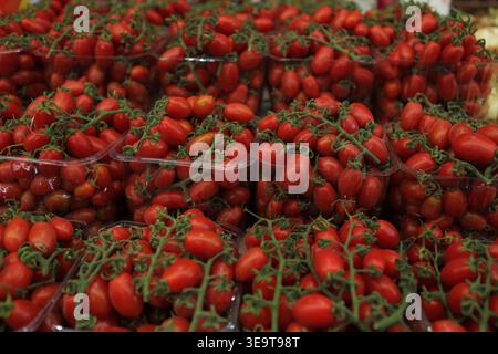 Cherry tomatoes for sale in boxes, seen on a stand in an open Ramla city market. Stock Photo