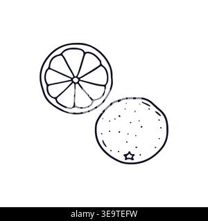 Hand drawn line art orange icon vector illustration. Doodle citrus fruit clipart Stock Vector