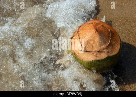 Freshly Cut Green Coconut Drink with a Sea Wave Splashing Over It at a Tropical Beach Stock Photo