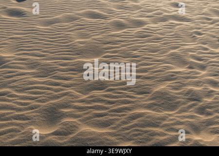 Close-up of wind-rippled sand surface at Katwijk aan Zee, Netherlands. Natural patterns created by coastal wind on beach sand during golden hour. Stock Photo