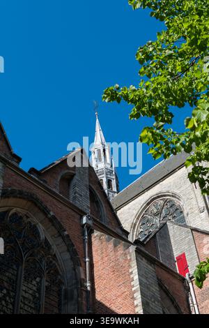 White steeple rising above brick Gothic church exterior with ornate rose window, framed by green foliage against clear blue sky in Leiden, Netherlands Stock Photo