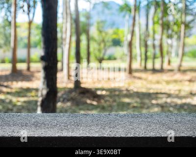 Empty stone table with blurred green forest background, perfect for product display, natural setting, eco lifestyle concept, outdoor mockup space with Stock Photo