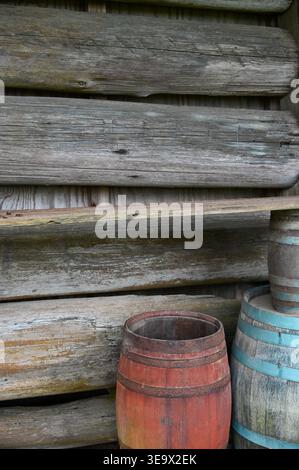 Old-fashioned rustic building exterior built weathered and sun bleached half logs behind red and blue barrels Stock Photo