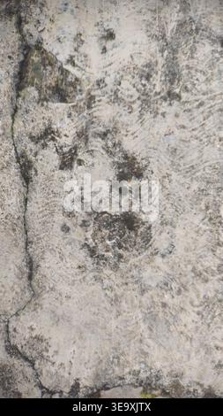 Rough exterior plaster wall surface with natural texture  for background and design use. Stock Photo
