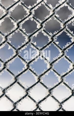 A close up photograph of a metal fence covered in frost with delicate ice crystals forming sharp geometric patterns. The soft blue background and cold Stock Photo