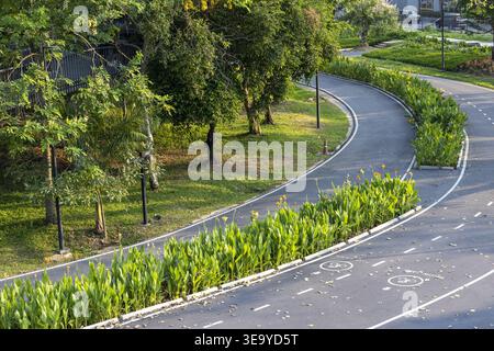 Peaceful empty bicycle lane curving gracefully through green park with lush tree and vibrant nature landscape offering tranquil outdoor path for healt Stock Photo