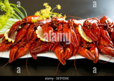 Boiled red crayfish with dill and lemon slices on white plate, dark background, traditional seafood appetizer, swedish crayfish party, gourmet Stock Photo