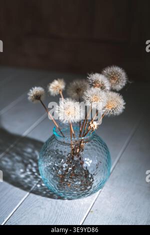 Dandelion seed heads arranged in a textured blue glass vase, casting long dramatic shadows on light wooden planks, symbolizing fragility, wishes, and Stock Photo