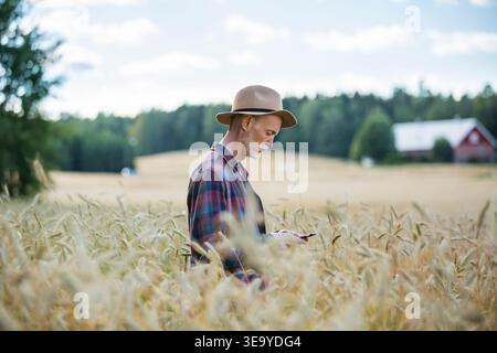 Mature male farmer in hat using smartphone in golden wheat field, precision agriculture technology, data driven farming, agri-tech, countryside, day Stock Photo