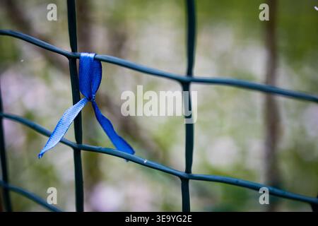 Blue ribbon tied to a dark green wire fence in soft natural light. The delicate fabric flutters beside damp metal while a gentle blur of foliage Stock Photo