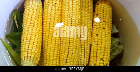 Boiled corn cobs,selective focus Stock Photo