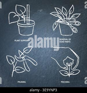 Plant pruning and pinching chalkboard icon set. Vector illustration Stock Vector
