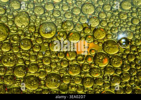 Golden oil droplets floating on water, vibrant macro texture of immiscible fluids and surface tension creating round luminous spheres. Photography, no Stock Photo