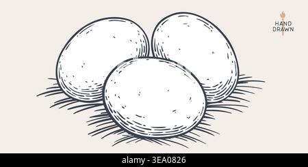 Eggs, sketch, hand drawn. Sketch artwork Stock Vector