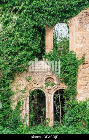 Abandoned stone building ruins overgrown with lush vegetation, ancient architecture covered with green ivy plant. Haunted ruined house. Forgotten Stock Photo