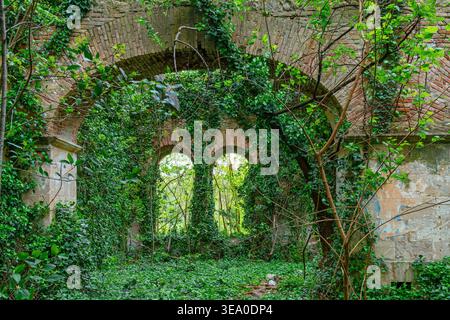 Interior view of abandoned building with brick arches covered by ivy and dense vegetation. Ruins reclaimed by nature, decay and passage of time in Stock Photo