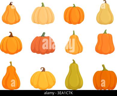 Cartoon isolated pumpkins. Harvest pumpkin, healthy vegan food. Agriculture elements, autumn farm market products. Seasonal sapid vector clipart Stock Vector