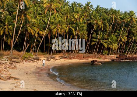 Spectacular undeveloped coastline, best beaches south from Kannur city in Kerala in India, tropical paradise sandy beach, local man walking on beach Stock Photo