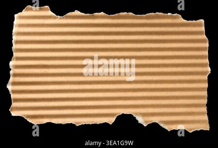 torn brown corrugated paper scrap isolated black background, jagged edges and horizontal ridges on rough textured surface Stock Photo
