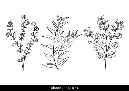Handdrawn natural plant in doodle design, botnical illustration, abstract leaf design Stock Vector