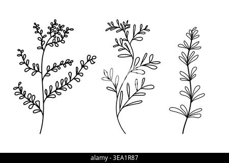 Handdrawn tree brunch natural leafs in black lined sketch, Abstract leaf design, decorative hand drawn sketch Stock Vector