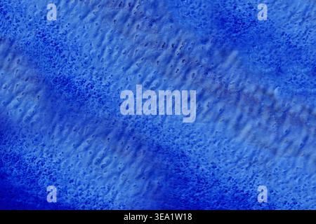 Surface pulses with soft, uneven ridges and subtle gradients. Vibrant hues blend seamlessly across the canvas Stock Photo
