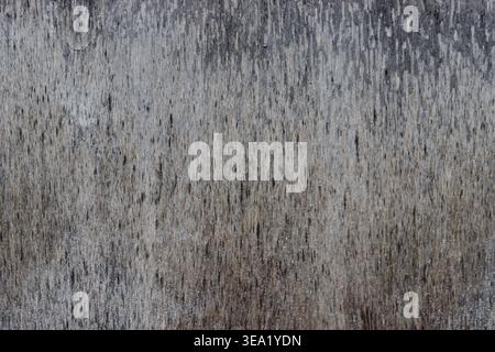 Natural grain patterns run vertically, showing wear and history. Subtle imperfections hint at outdoor exposure over time Stock Photo