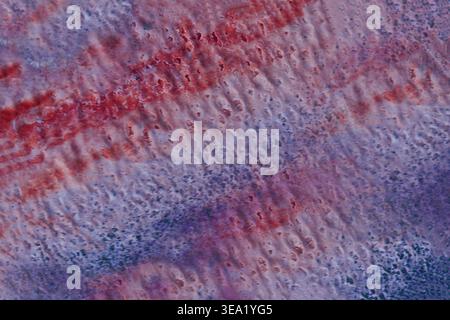Vibrant streaks contrast with soft, muted tones beneath. Ideal for abstract backgrounds or scientific visuals Stock Photo