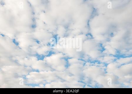 A bright blue sky filled with scattered, white clouds, likely altocumulus or cirrocumulus clouds. Stock Photo